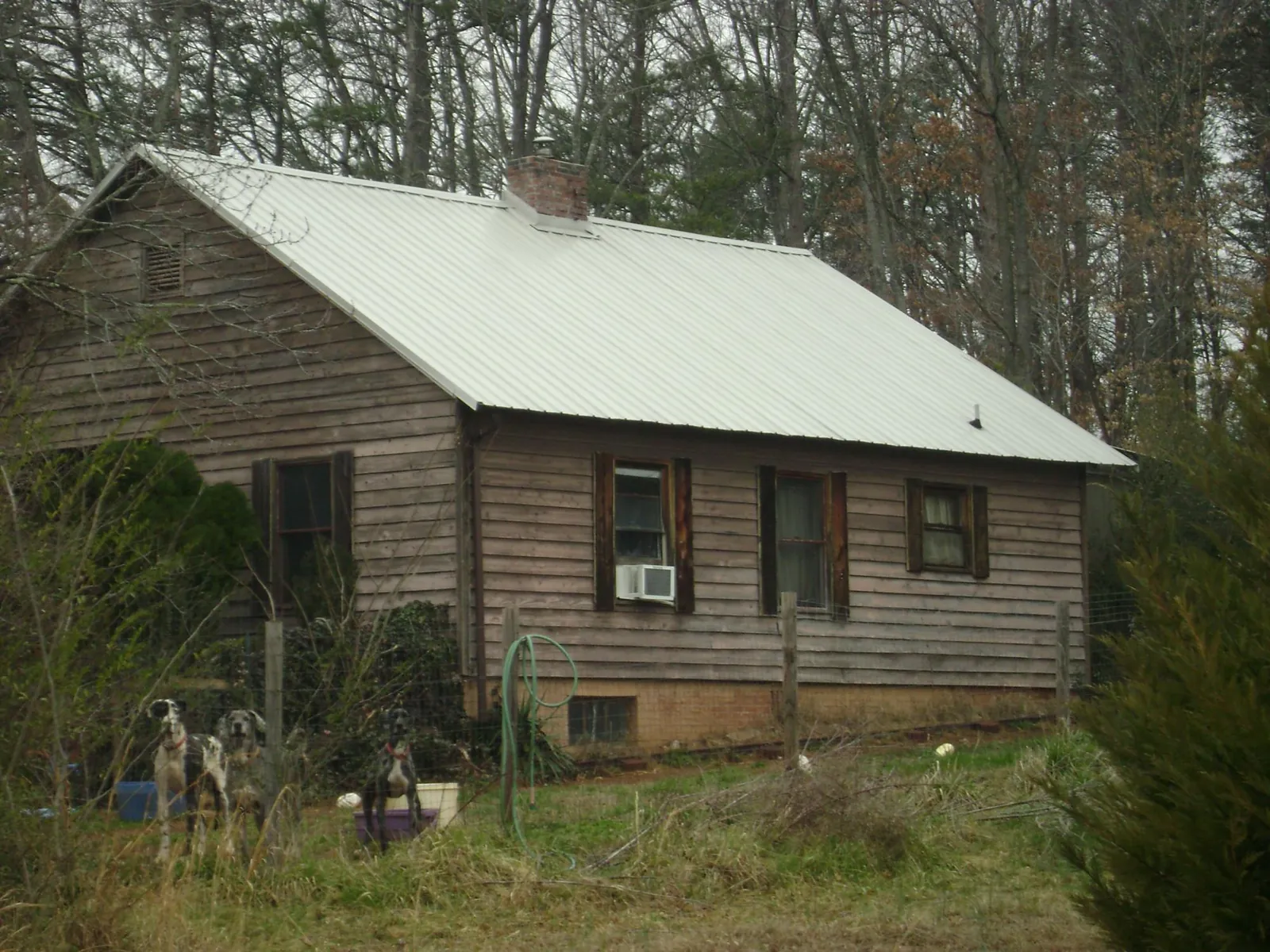 White metal roof on an old wood sided farmhouse, from a Asphalt Shingle Roof Repair job in Corbett